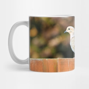 Mourning Dove Perched On a Fence Mug